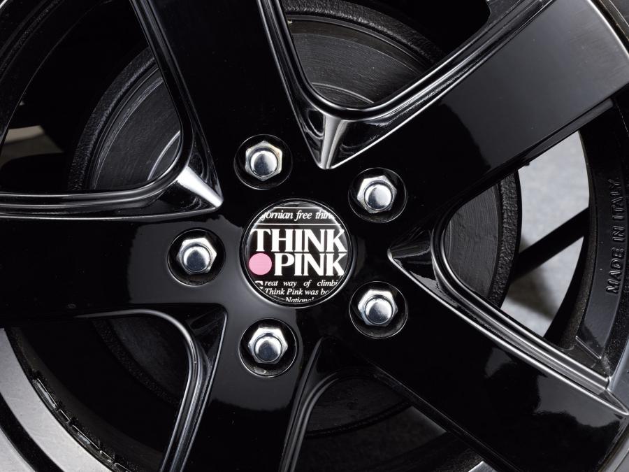  Daihatsu Terios Think Pink 2010 года  (фото 10 из 13)